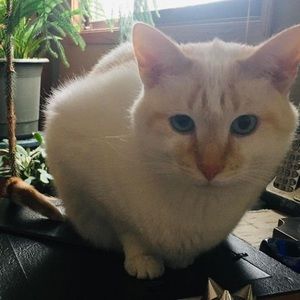 Meet your Posher, Susan nelson